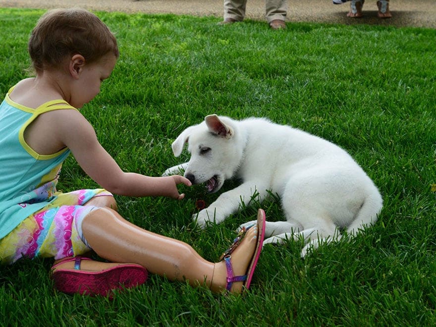 tilestwra.com | Το 3χρονο κοριτσάκι χωρίς πόδι που του χάρισαν για παρέα έναν ανάπηρο σκύλο