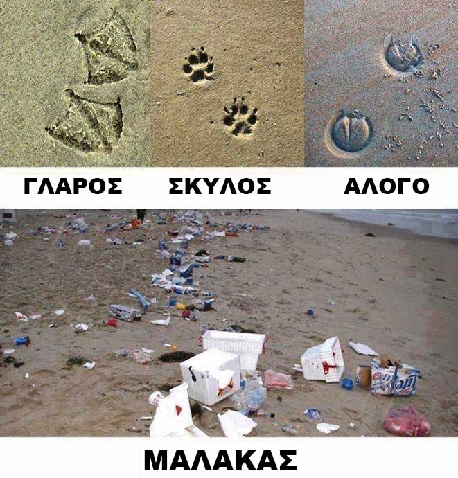 tilestwra.com | Για να μην ξεχνάμε ποια είναι τα αληθινά ζώα. Κοινοποιήστε το.