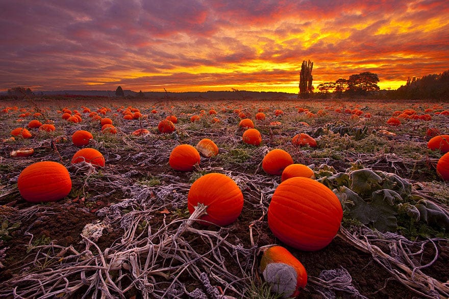 tilestwra.com | 40 υπέροχες φωτογραφίες που αποδεικνύουν ότι το φθινόπωρο είναι μια μαγική εποχή