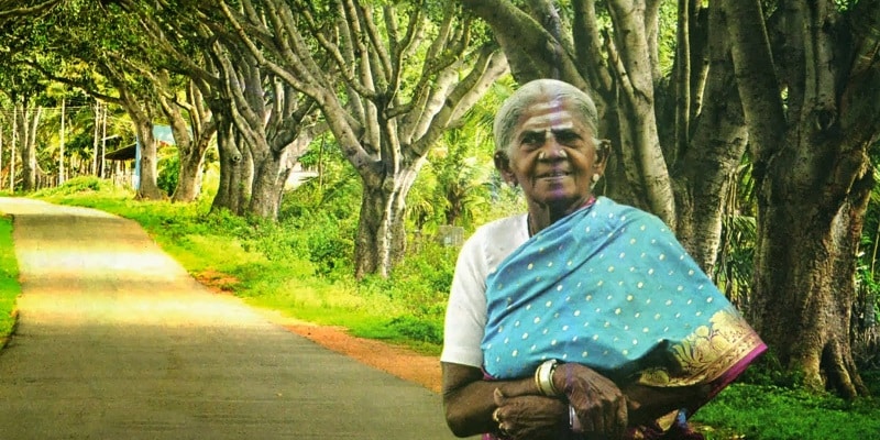 yourstory-saalumarada-thimmakka