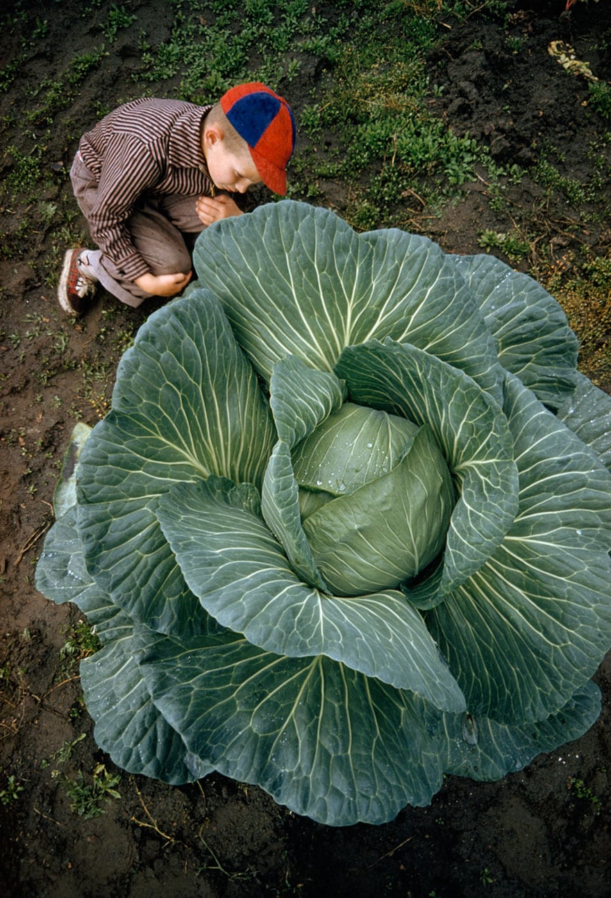 unpublished-photos-national-geographic-found24__880