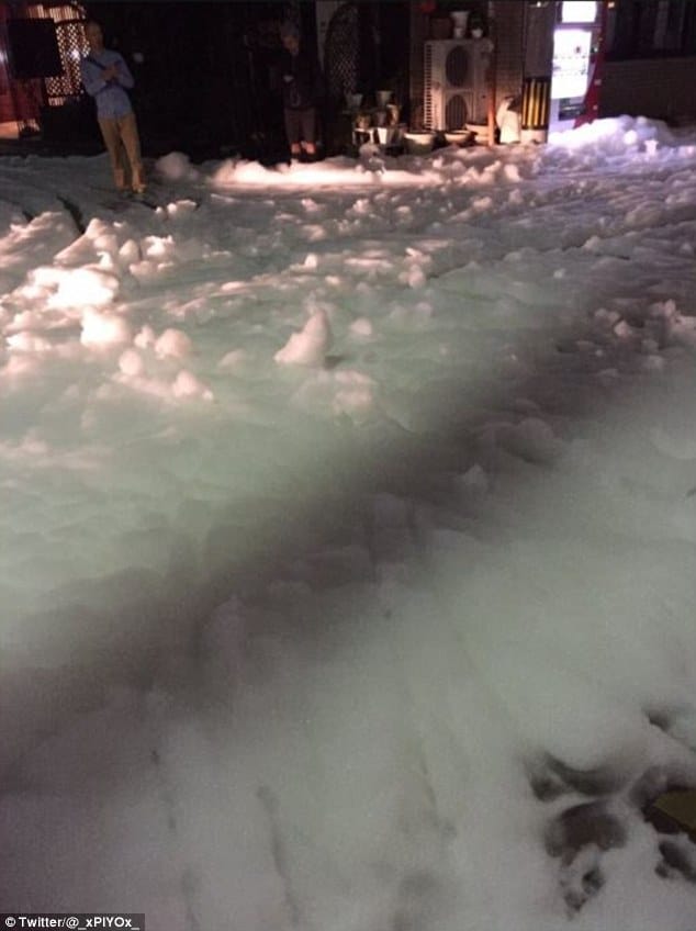 mysterious-foam-japan-earthquake-4
