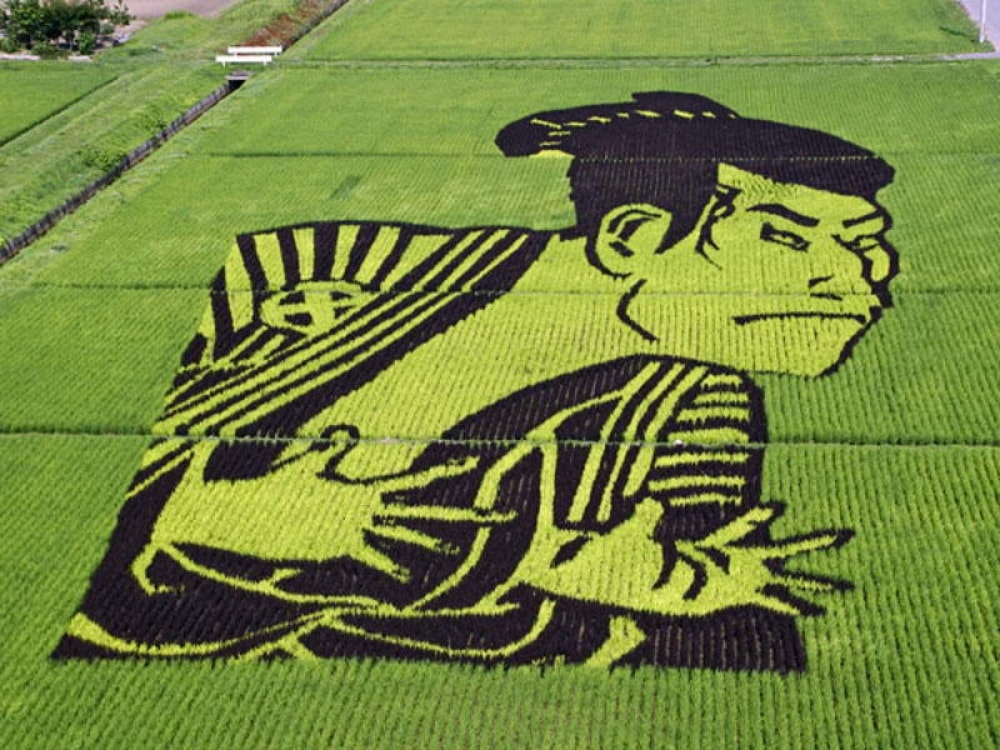 1130305-1000-1459864030-rice21
