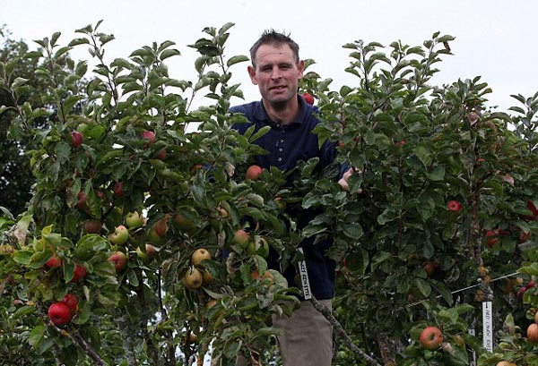 tilestwra.gr - Μηλιά παράγει 250 διαφορετικές ποικιλίες μήλων!