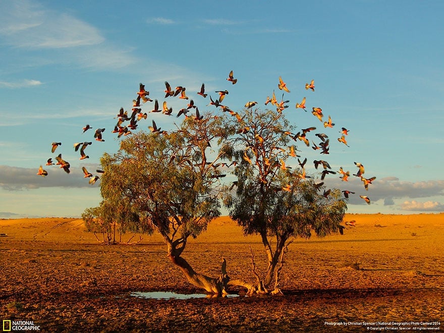 national-geographic-photo-contest-2014-photography-14