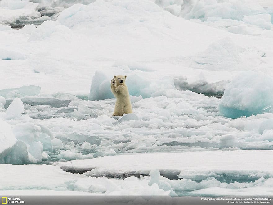 national-geographic-photo-contest-2014-photography-15