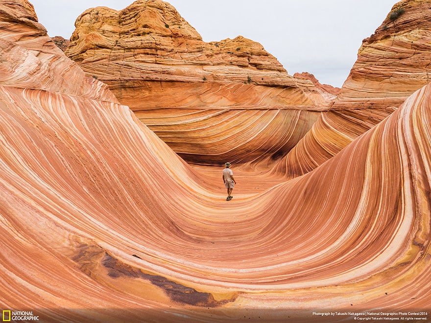 national-geographic-photo-contest-2014-photography-8