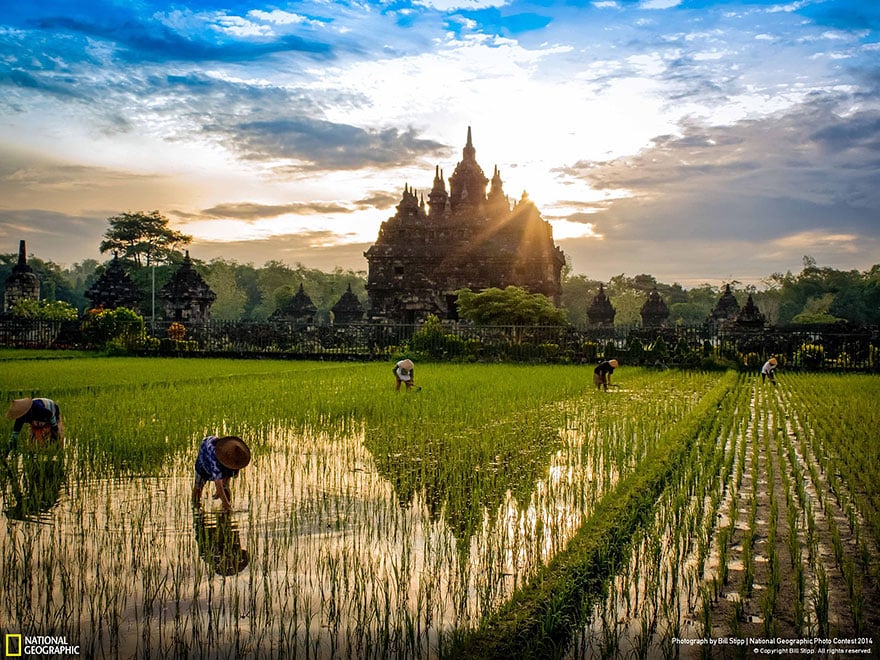 national-geographic-photo-contest-2014-photography-9