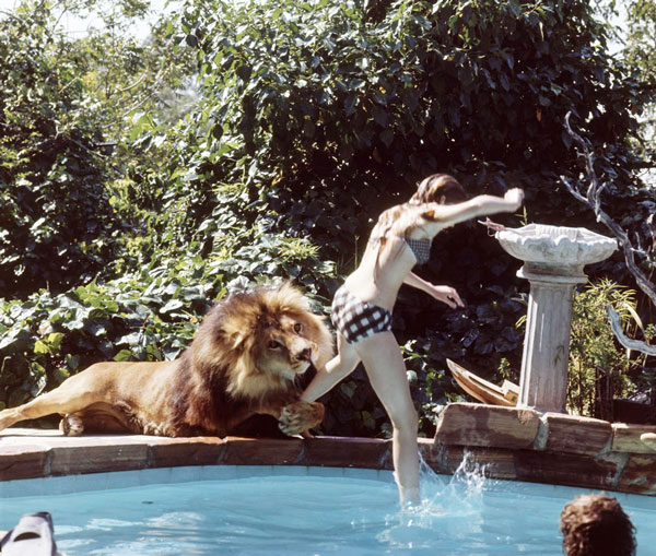 tilestwra.gr - Η ζωή μιας οικογένειας με ένα λιοντάρι!