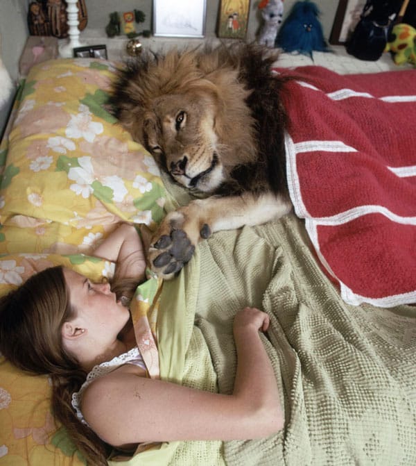 tilestwra.gr - Η ζωή μιας οικογένειας με ένα λιοντάρι!