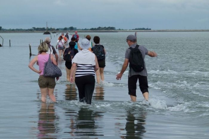 Passage du Gois (4)