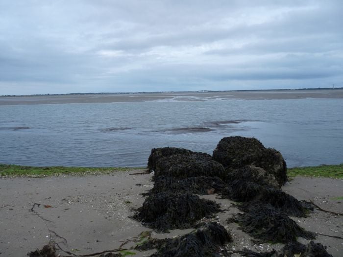 Passage du Gois (16)