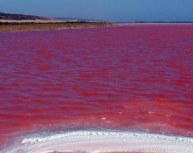 tilestwra.gr : 2.  Red Tide Όταν η μητέρα φύση μας αφήνει άφωνους με την ομορφιά της