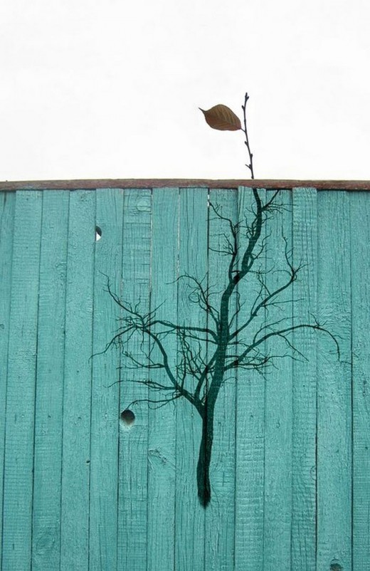 tilestwra.gr : 706400 street art interacts with nature 26 fbe1fe 30 έργα street art σε απόλυτη αρμονία με τη φύση!