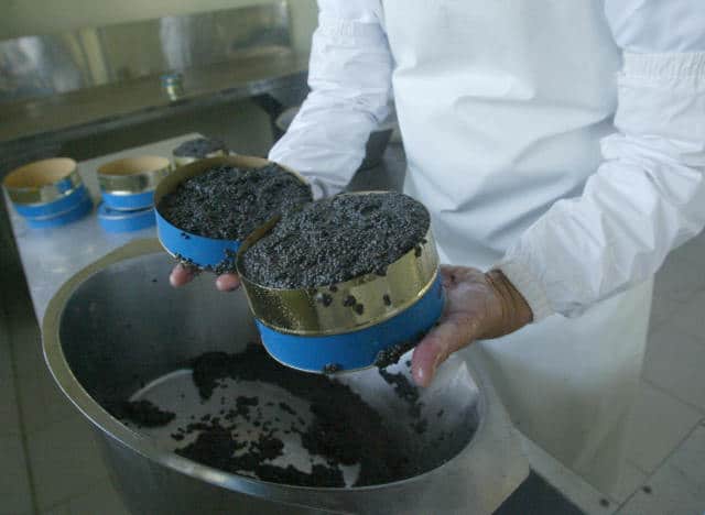 iranian beluga caviar