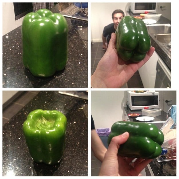 No, wait – this pepper.