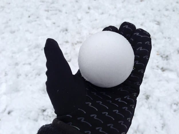 Let us all stop to enjoy the perfect snowball.
