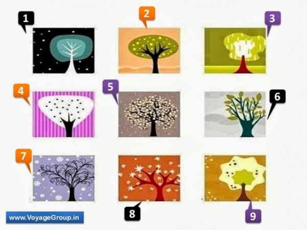Πες μου ποιο δέντρο προτιμάς και θα σου πω τι τύπος προσωπικότητας είσαι. Κάνε το τεστ! 3
