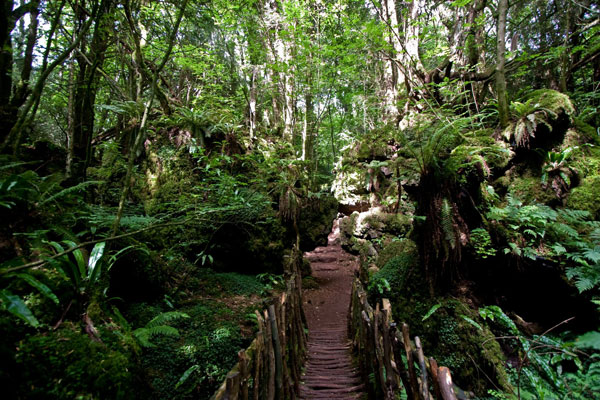 tilestwra.gr - Puzzlewood: Ένα αρχαίο δάσος... λαβύρινθος!