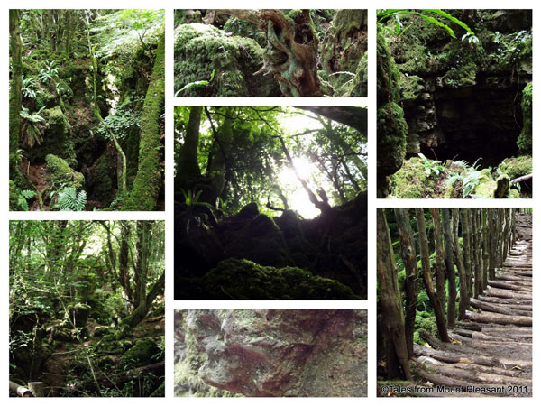 tilestwra.gr - Puzzlewood: Ένα αρχαίο δάσος... λαβύρινθος!