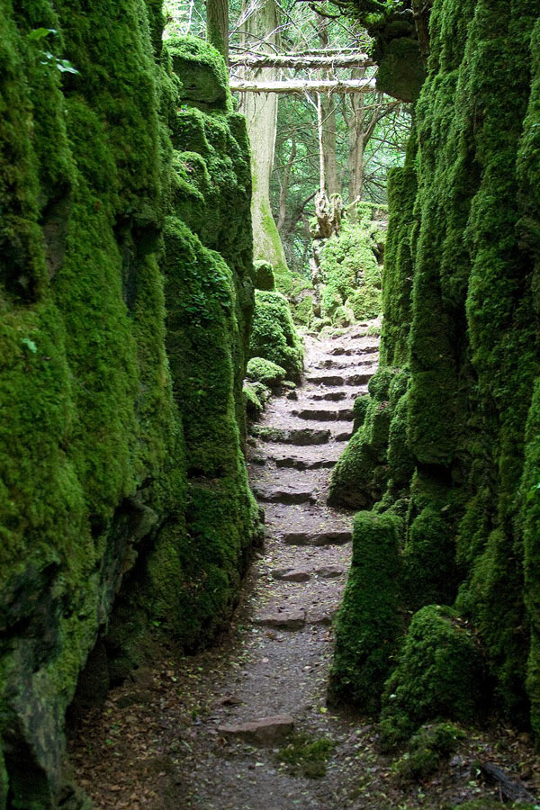 tilestwra.gr - Puzzlewood: Ένα αρχαίο δάσος... λαβύρινθος!