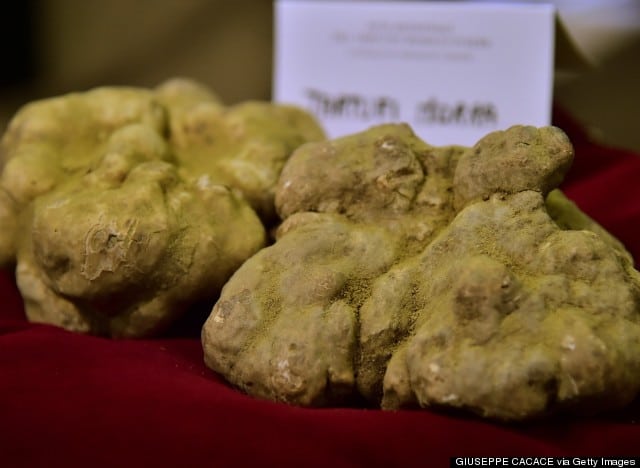 white truffle