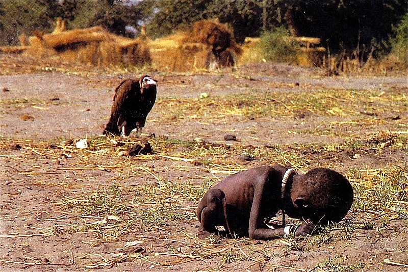 vulture child