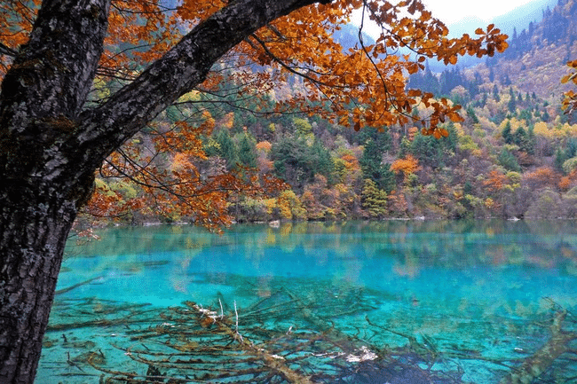 tilestwra.gr - Πολύχρωμα μέρη στη Γη 