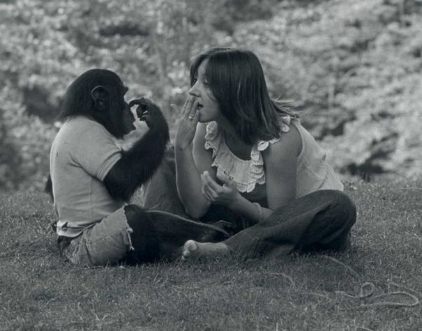 Όταν η γυναίκα που φρόντιζε αυτόν τον χιμπαντζή του είπε ότι έχασε το μωρό της, δεν περίμενε ποτέ ότι θα αντιδρούσε έτσι.