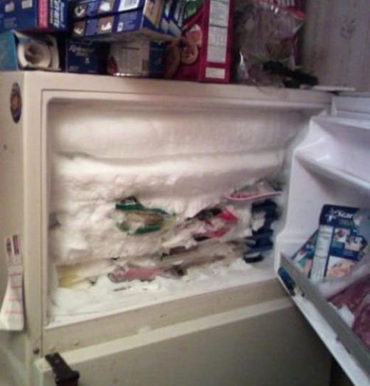 424147_Impact-of-laziness-on-freezer.png