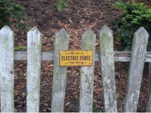 84440884