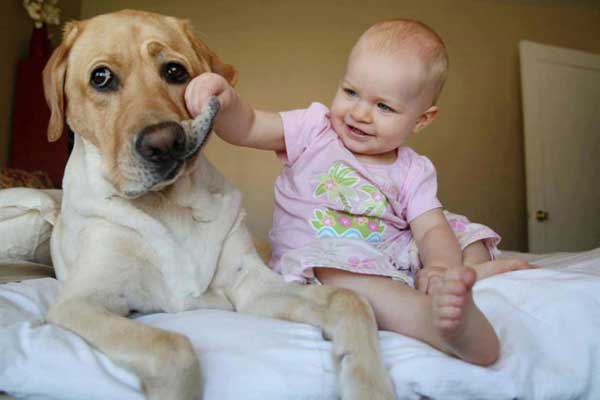 tilestwra.gr : babydogy3 10 σημαντικοί λόγοι για να μεγαλώσει ένα παιδί με κατοικίδιο