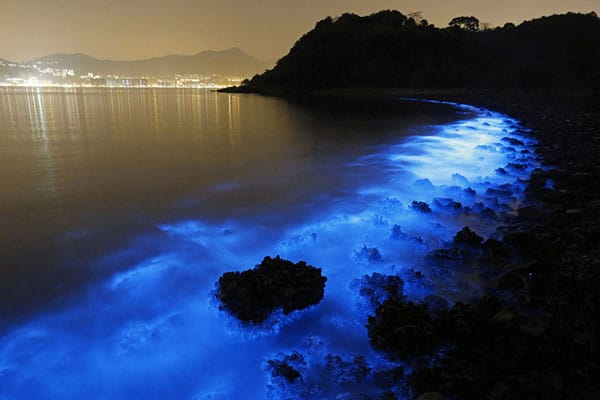 tilestwra.gr - Οι ακτές του Χονγκ Κονγκ... φωσφορίζουν τη νύχτα!