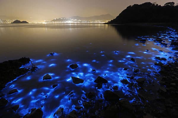 tilestwra.gr - Οι ακτές του Χονγκ Κονγκ... φωσφορίζουν τη νύχτα!