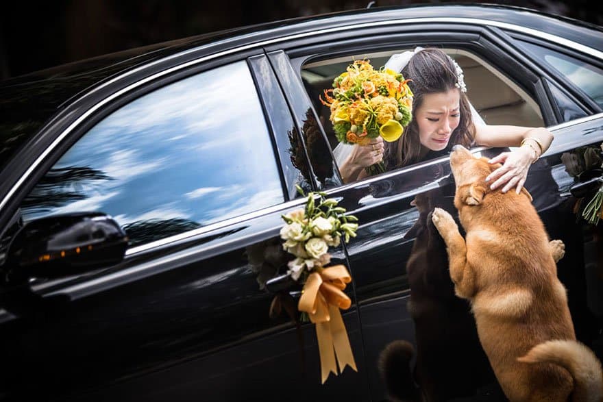 creative-best-wedding-photography-awards-2014-ispwp-contest-9