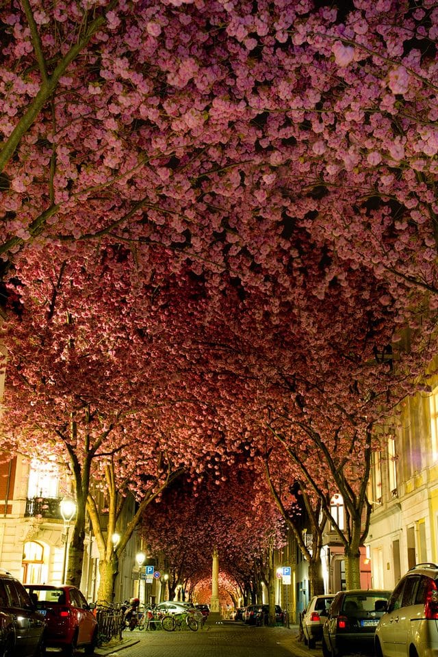 Street in Bonn, Germany
