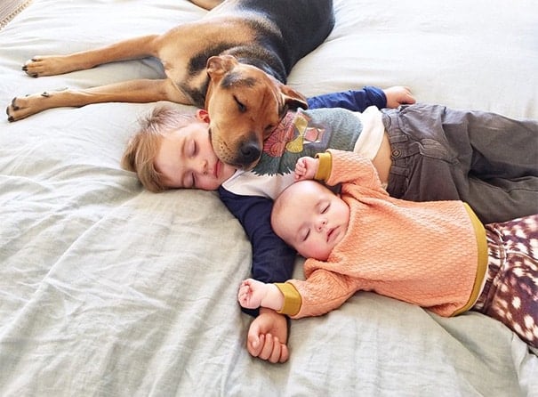 tilestwra.gr - Το αγοράκι που κοιμάται με το σκυλί του... απέκτησε αδελφούλα!
