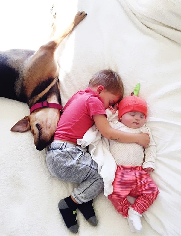 tilestwra.gr - Το αγοράκι που κοιμάται με το σκυλί του... απέκτησε αδελφούλα!