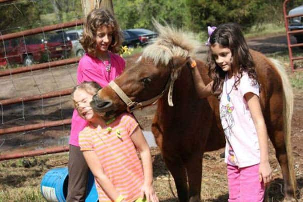 Έχουν δει και καλύτερες μέρες… (11)