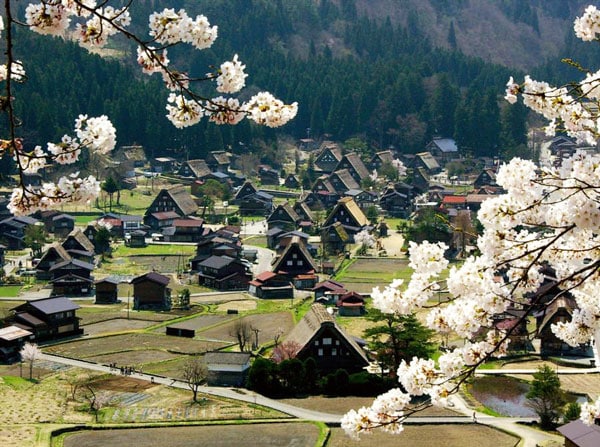 tilestwra.gr - Ogimachi: Σε αυτό το πανέμορφο χωριό επιτρέπεται να μείνεις 1 νύχτα!