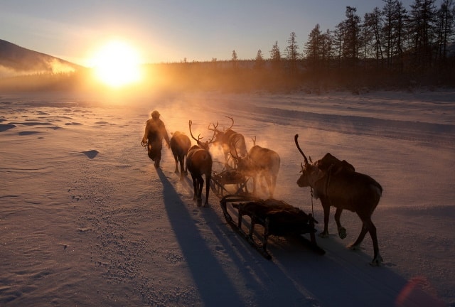 reindeer herder siberia yakutia