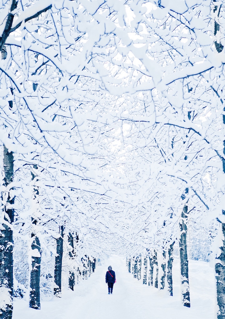 tilestwra.gr - Εκπληκτικής ομορφιάς χειμωνιάτικα σκηνικά!