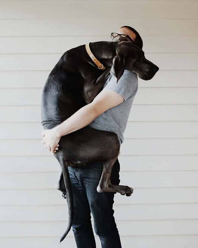 Σκύλοι που δεν έχουν καταλάβει πόσο τεράστιοι είναι (21)