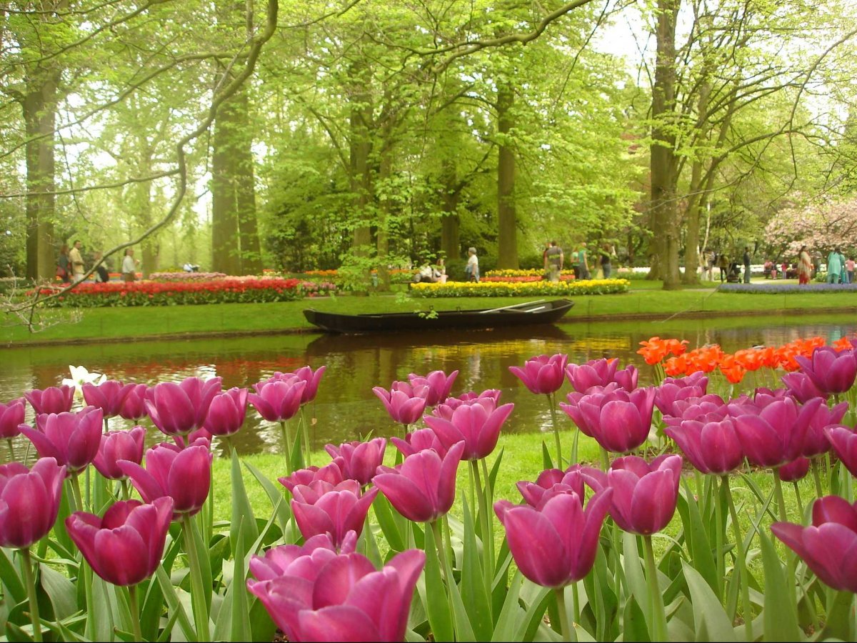 smell the tulips at keukenhof a vast flower garden in lisse the netherlands