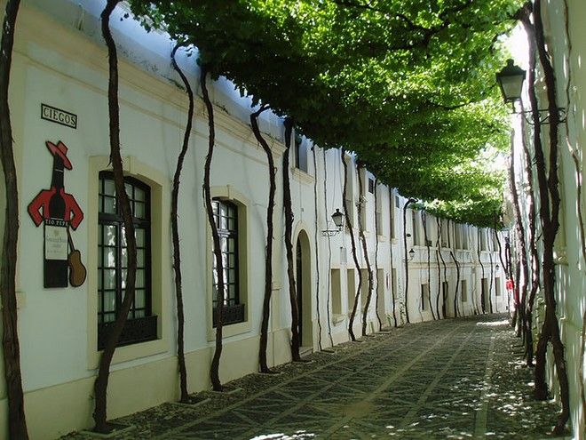 tilestwra.gr : street12 Στη Λέσβο, ο ομορφότερος δρόμος του κόσμου