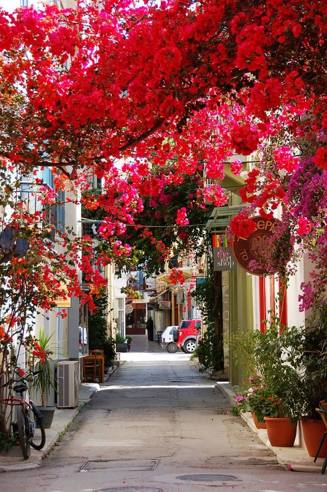 tilestwra.gr : street13 Στη Λέσβο, ο ομορφότερος δρόμος του κόσμου
