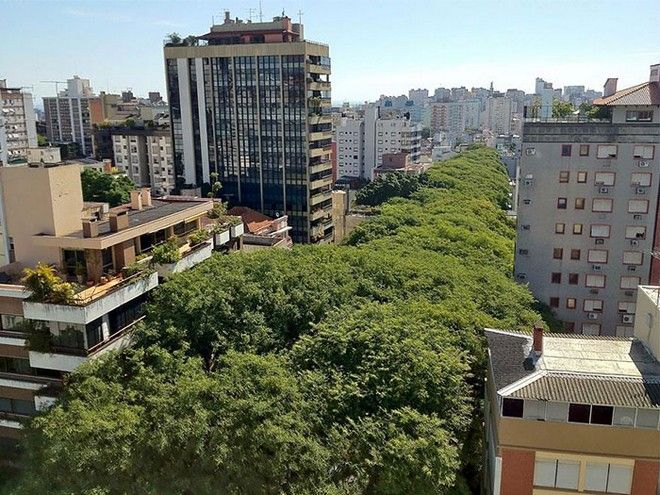 tilestwra.gr : street8 Στη Λέσβο, ο ομορφότερος δρόμος του κόσμου