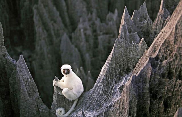 Tsingy-de-Bemaraha-03