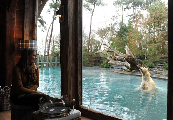 tilestwra.gr - "Jamala Wildlife Lodge": Το πιο "άγριο" ξενοδοχείο!