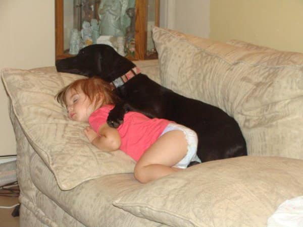 tilestwra.gr - 06 dog tired b Όταν η κούραση τα οδηγεί να κοιμηθούν όπου να ναι και όπως να ναι…